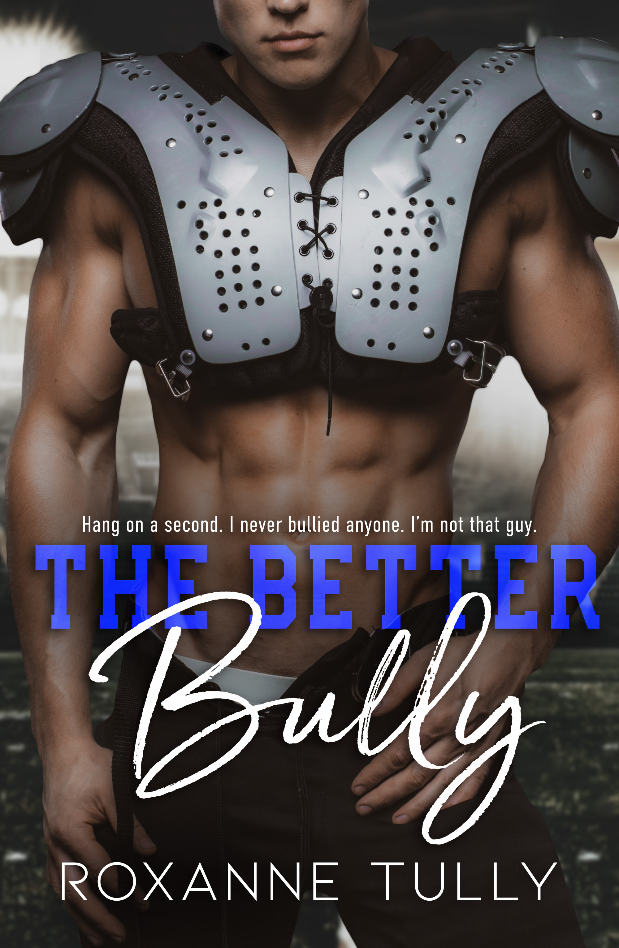 The Better Bully book cover