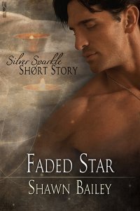 Faded Star book cover