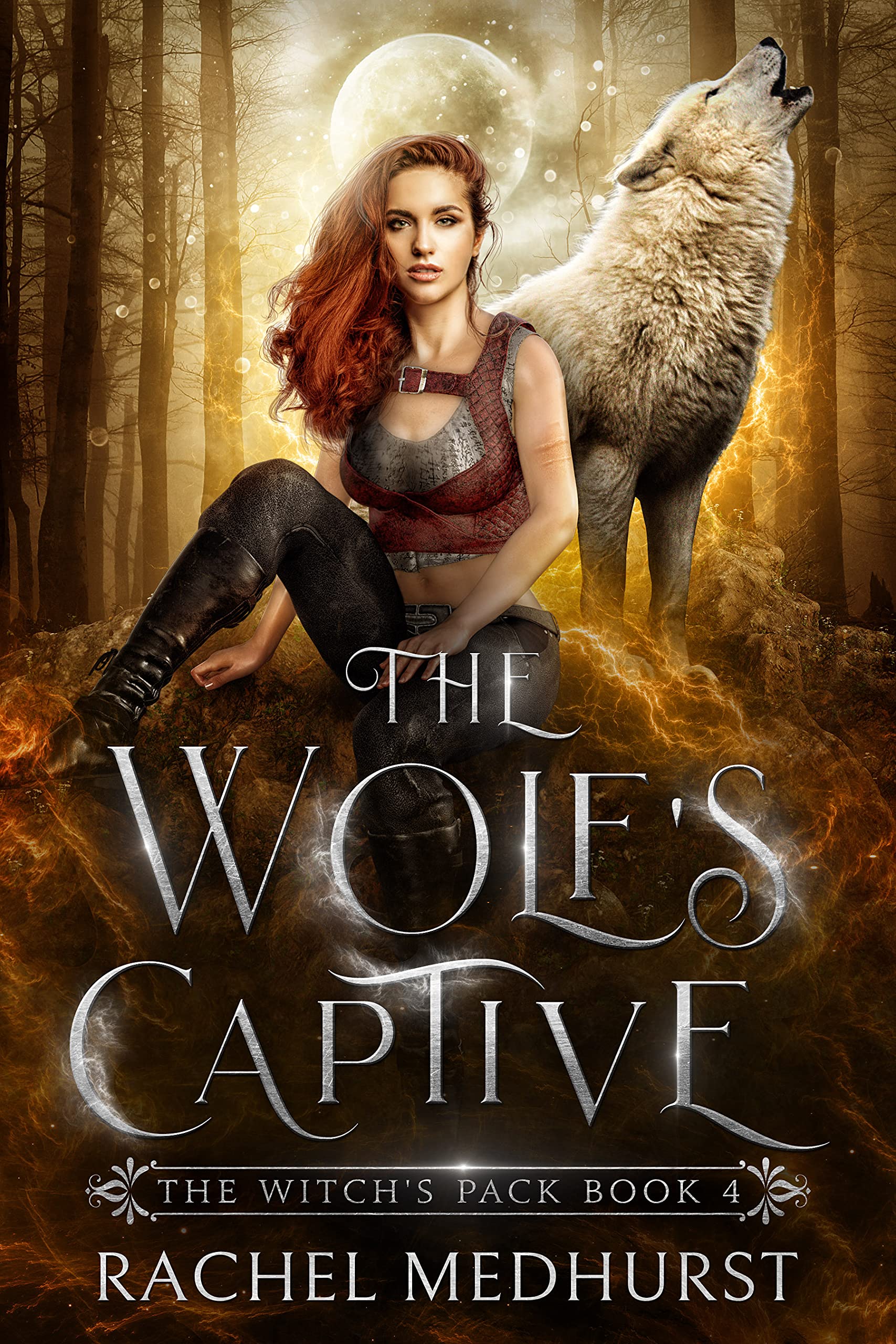 The Wolf's Captive book cover