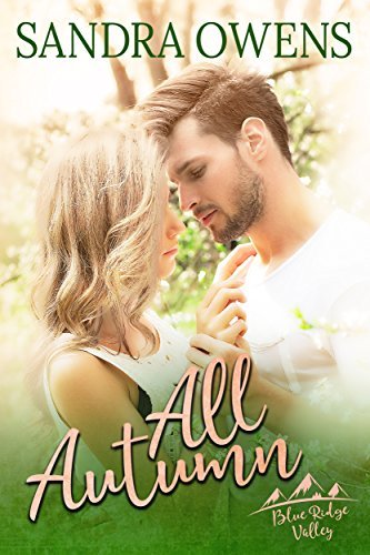 Blue Ridge Valley book cover 2