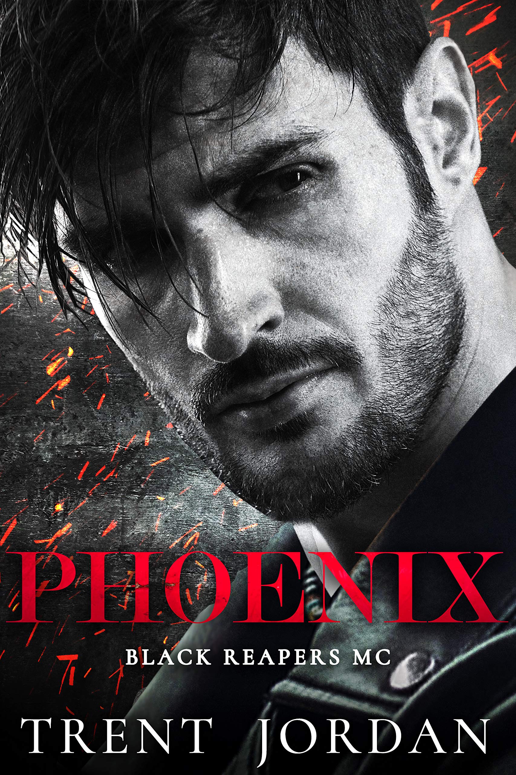 Phoenix book cover