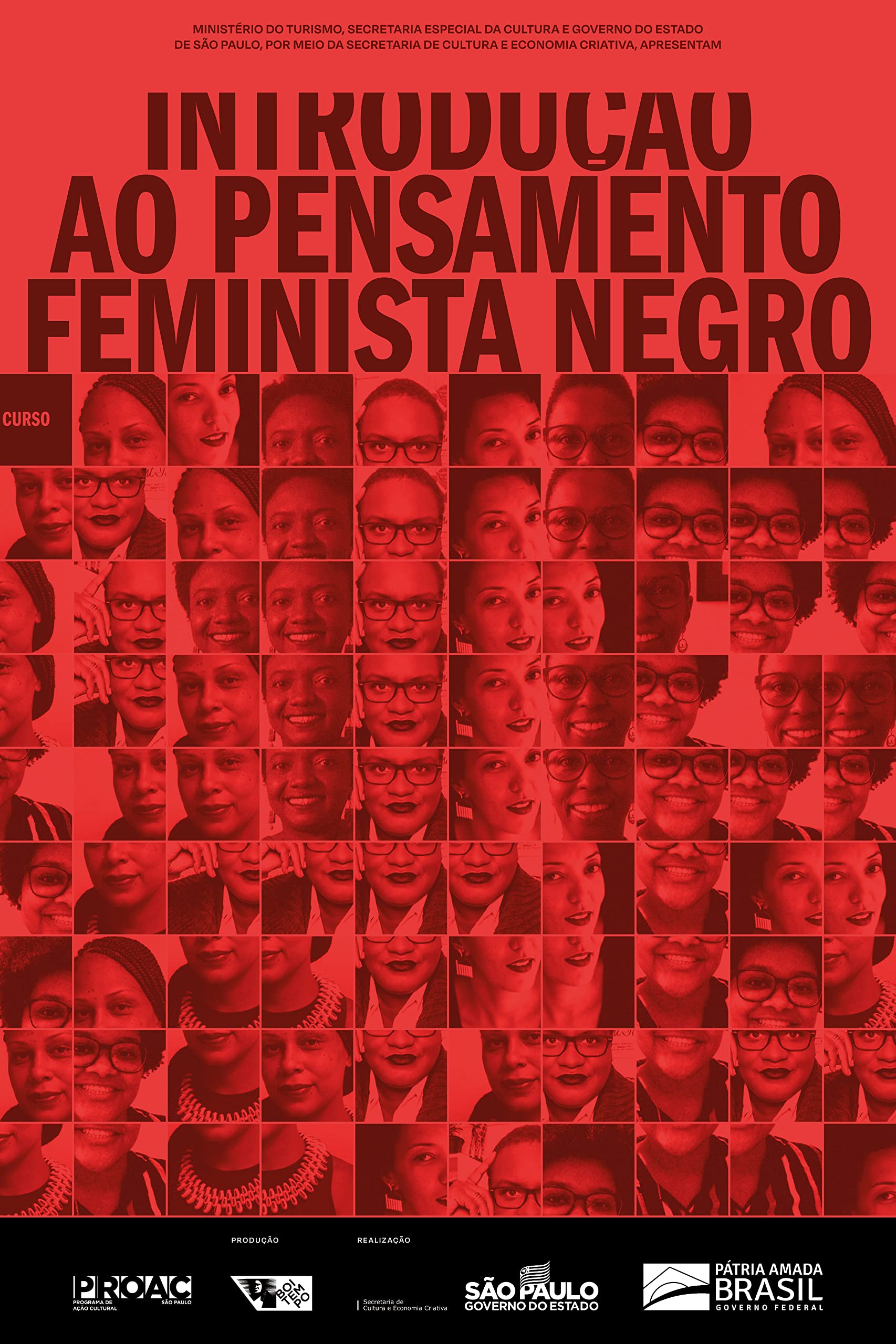 Introdução ao pensamento feminista negro book cover