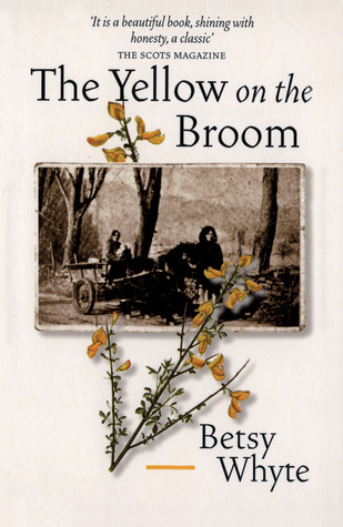 The Yellow on the Broom book cover