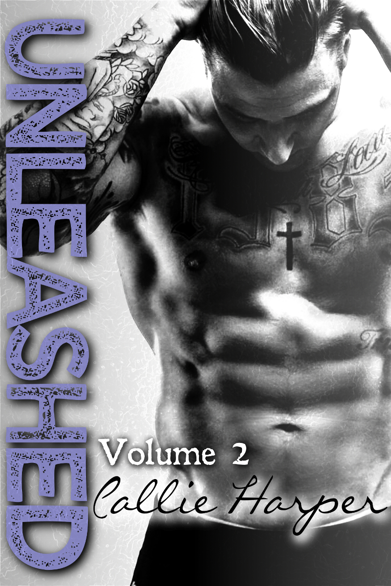 Unleashed book cover 2