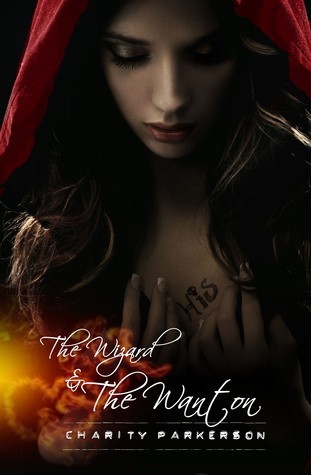 The Wizard & The Wanton book cover