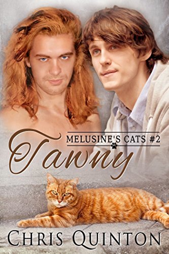 Melusine's Cats book cover 2