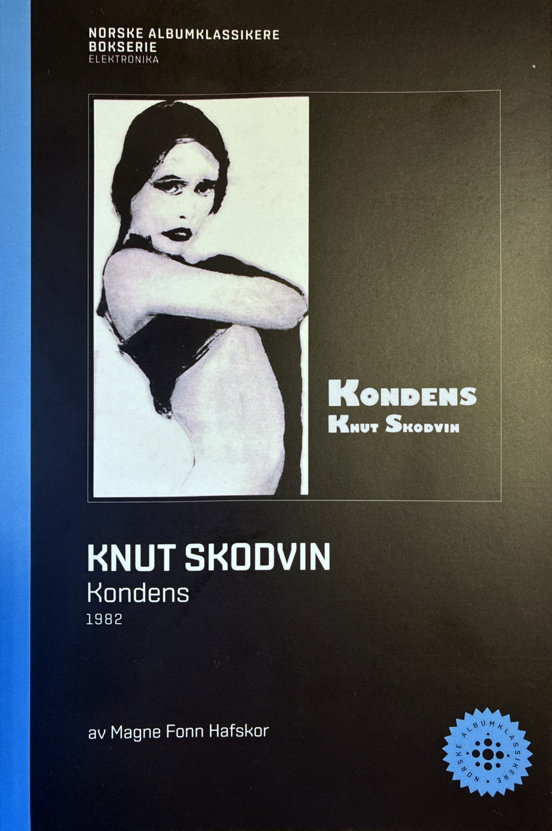 Knut Skodvin - Kondens book cover