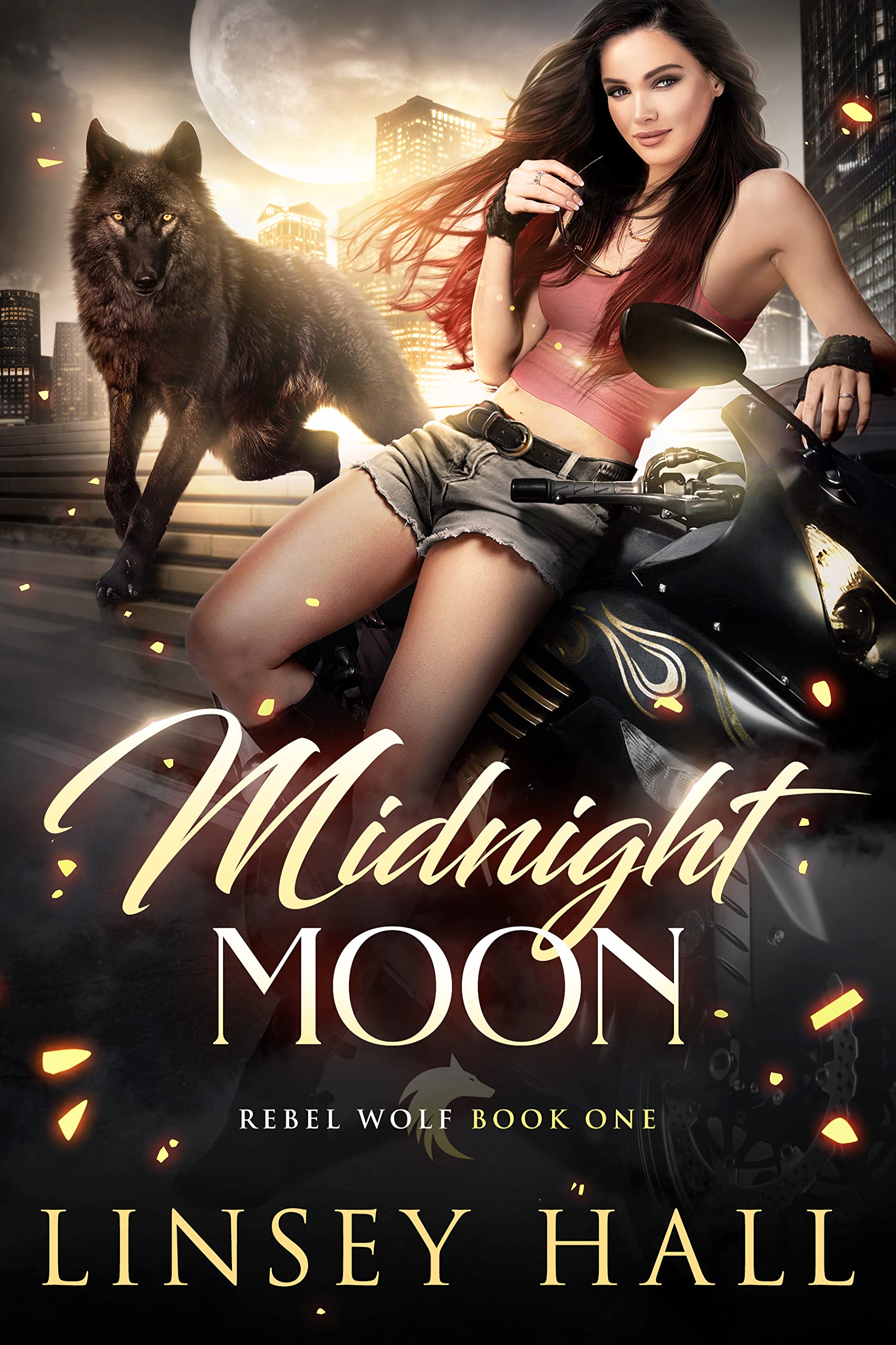 Rebel Wolf book cover 1