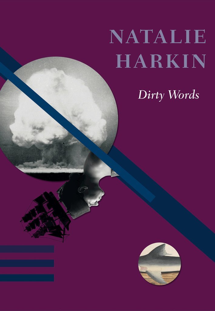 Dirty Words book cover