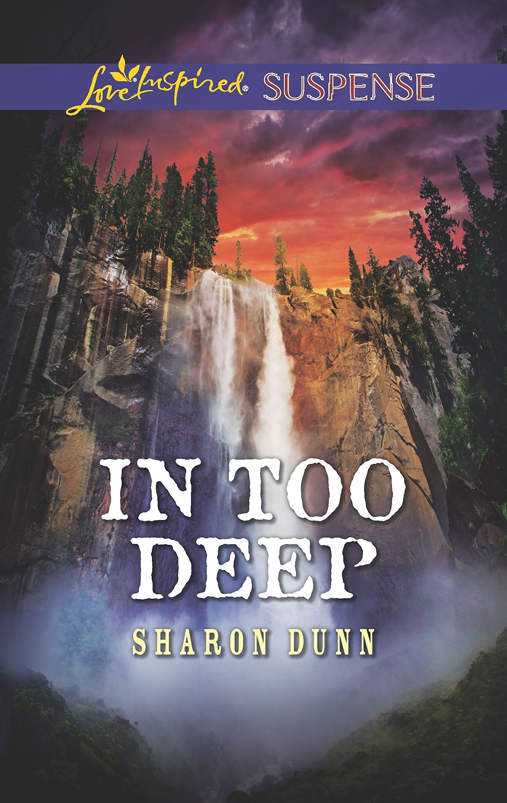 In Too Deep book cover