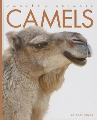 Camels book cover