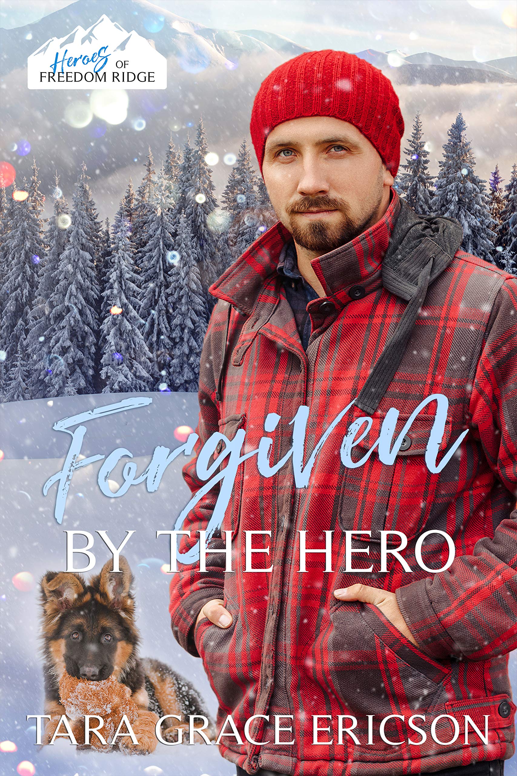 Forgiven by the Hero book cover