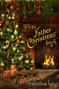 What Father Christmas Left book cover