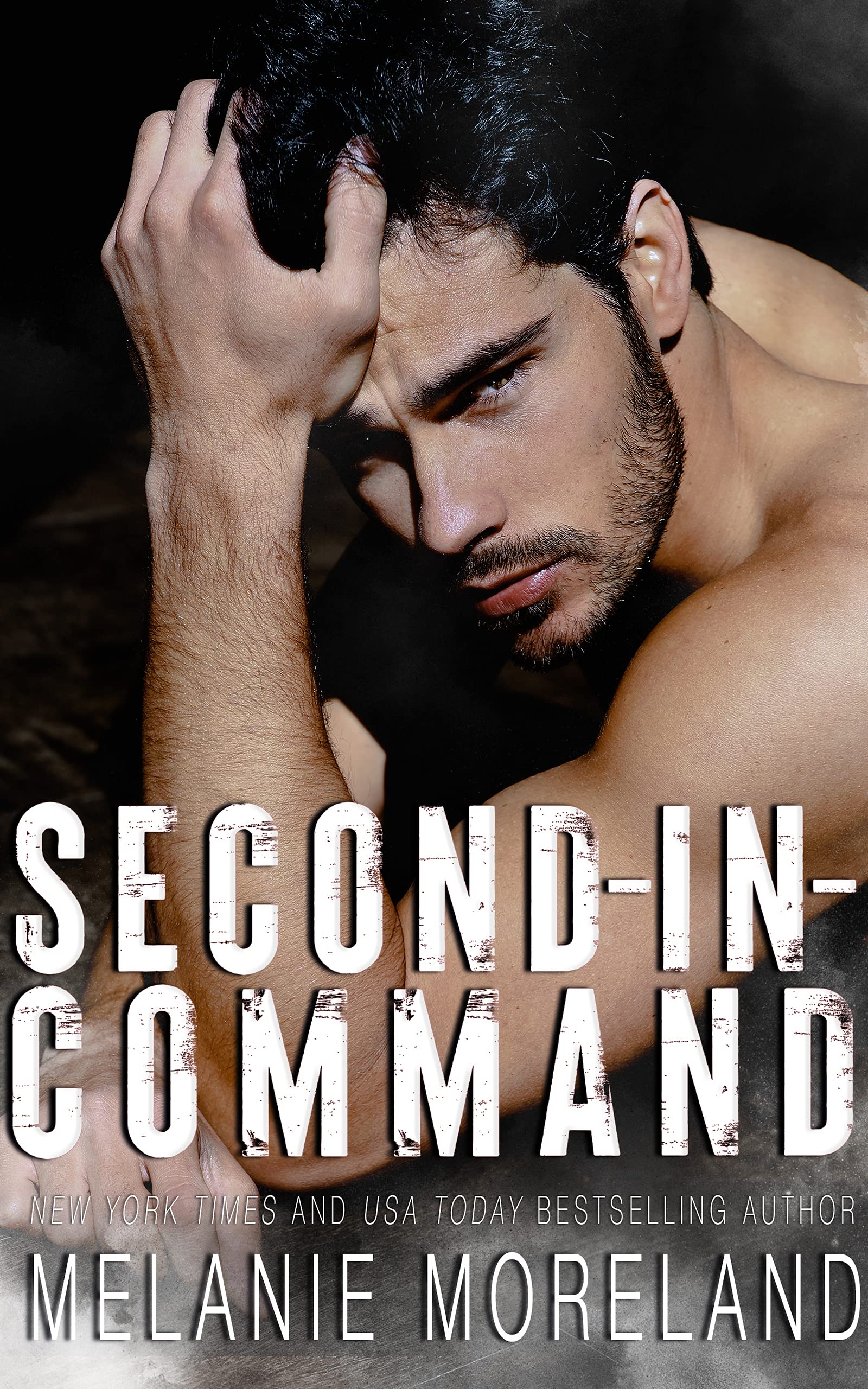 Men of Hidden Justice book cover 2