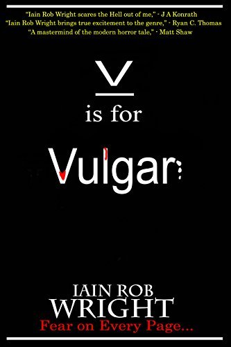 V is for Vulgar book cover