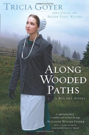 Big Sky book cover 2