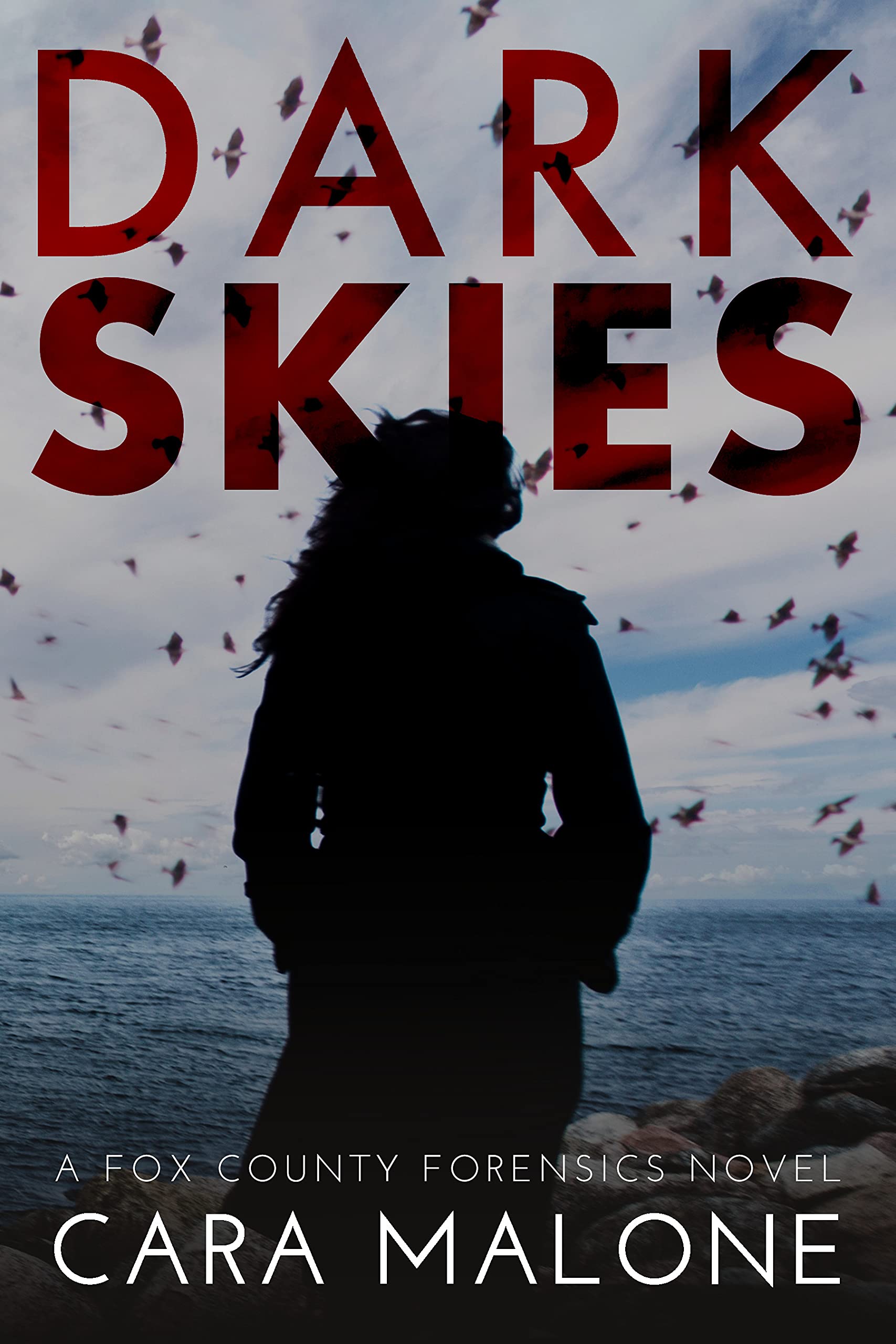 Fox County Forensics book cover 3