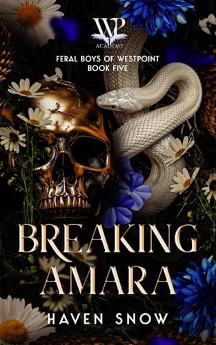 Breaking Amara book cover