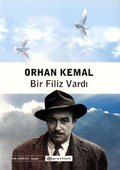 Bir Filiz Vardı book cover