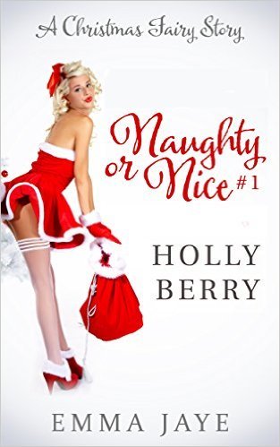 Naughty or Nice? book cover 1