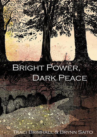 Bright Power, Dark Peace book cover