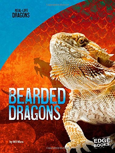 Bearded Dragons book cover