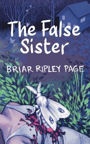The False Sister book cover