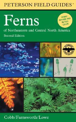 Ferns of Northeastern and Central North America book cover