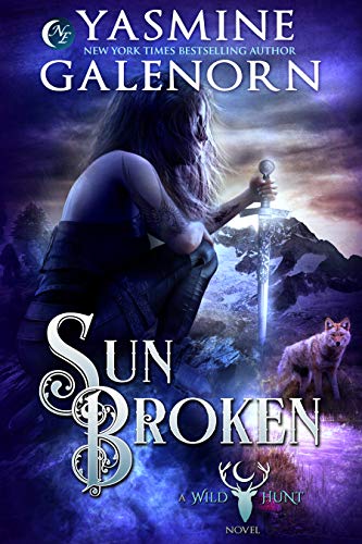 Sun Broken book cover