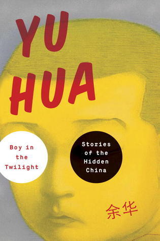 Boy in the Twilight book cover