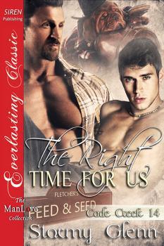 The Right Time for Us book cover