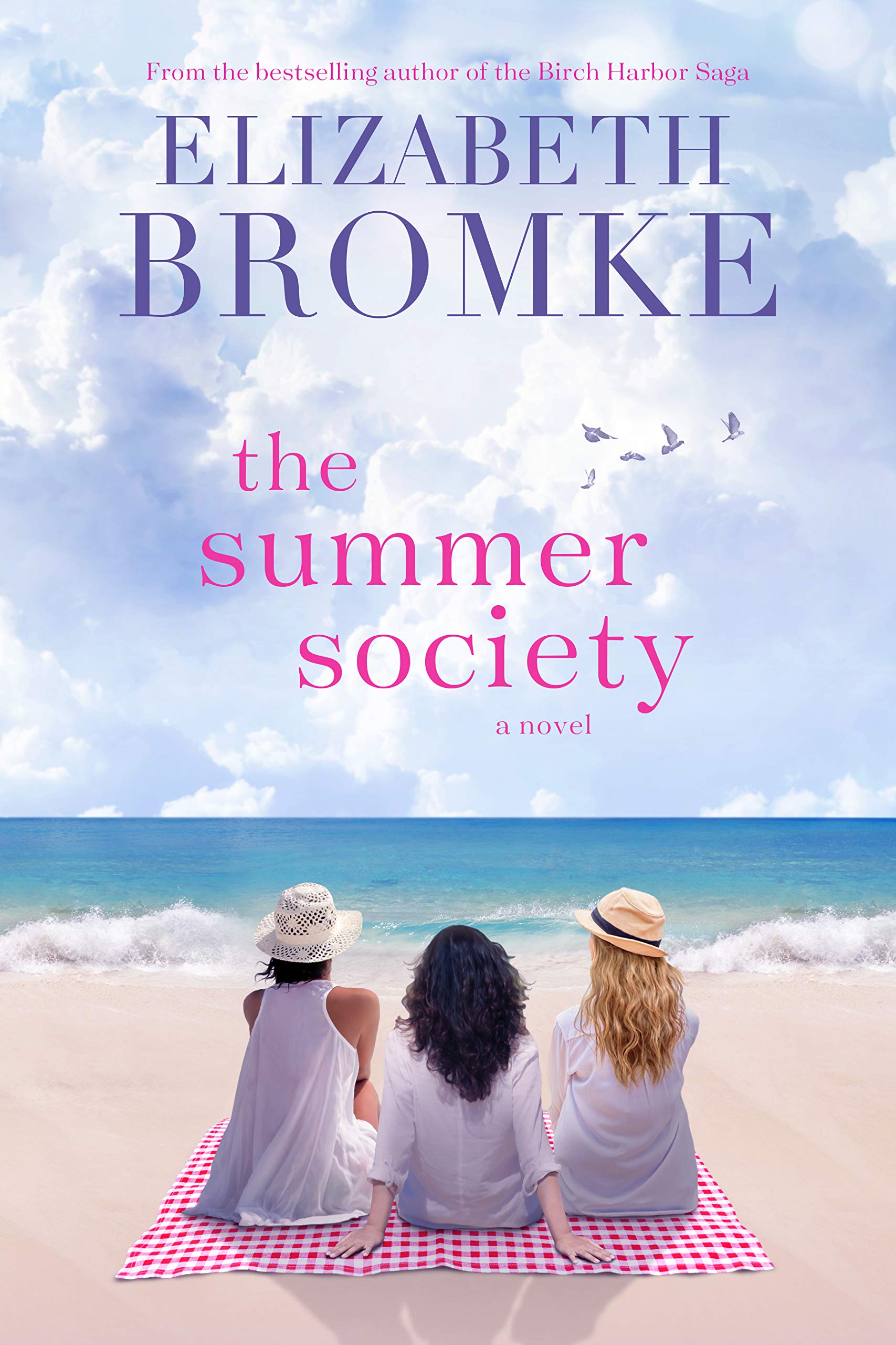 The Summer Society book cover