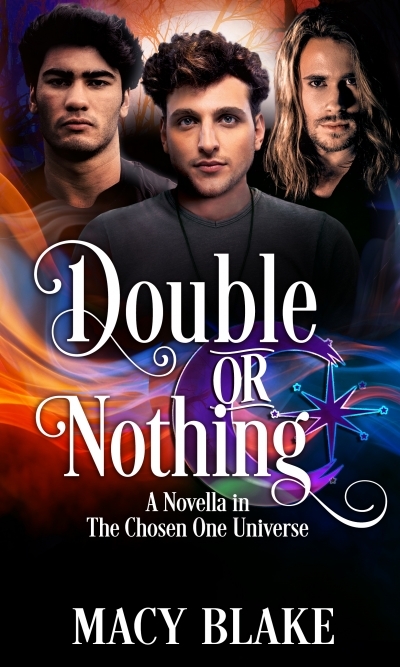 Double or Nothing book cover