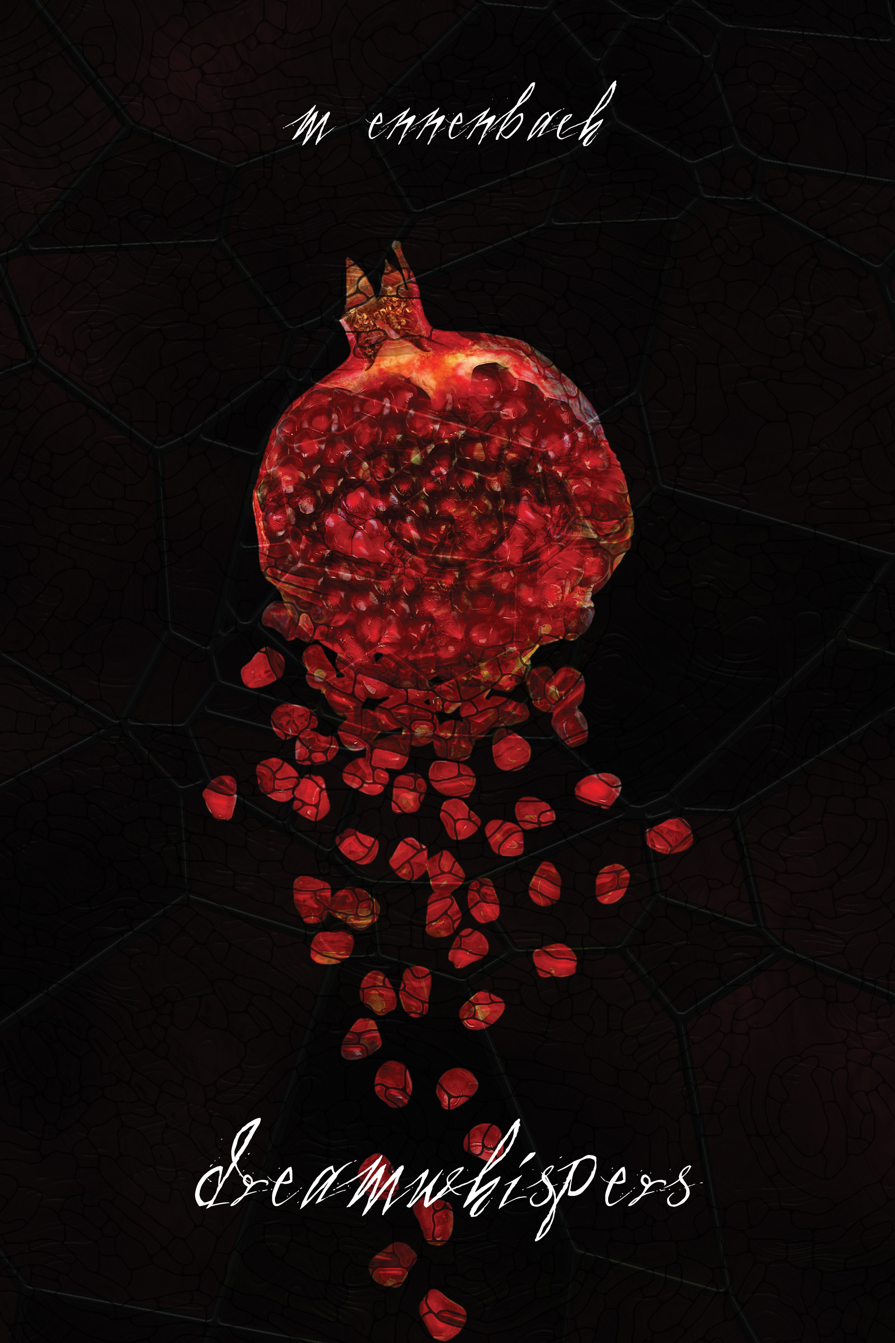 dreamwhispers book cover