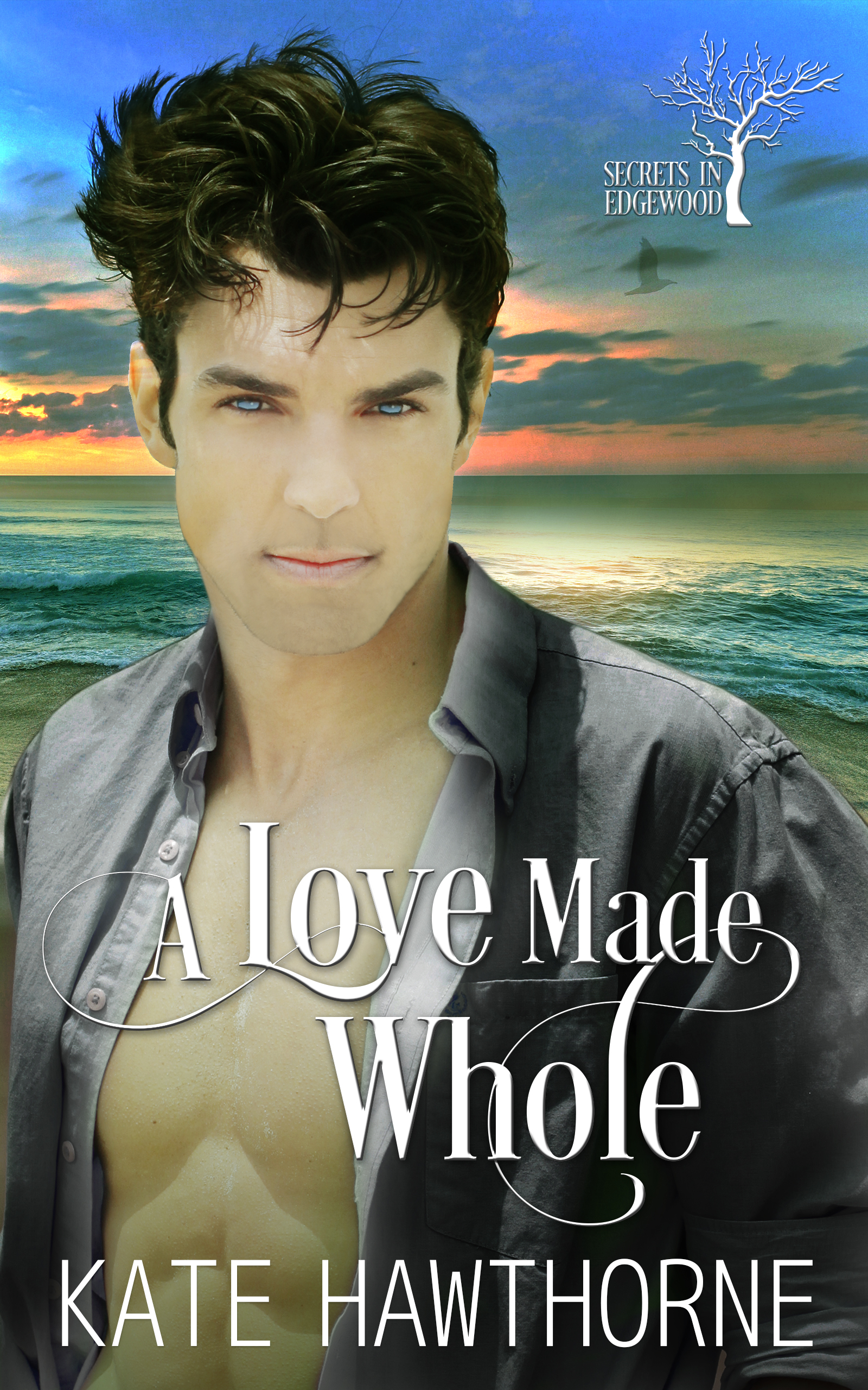 Secrets in Edgewood book cover 3