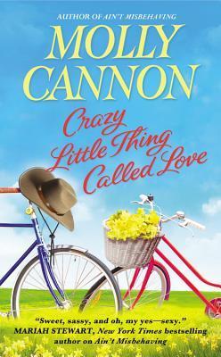 Everson, Texas book cover 2