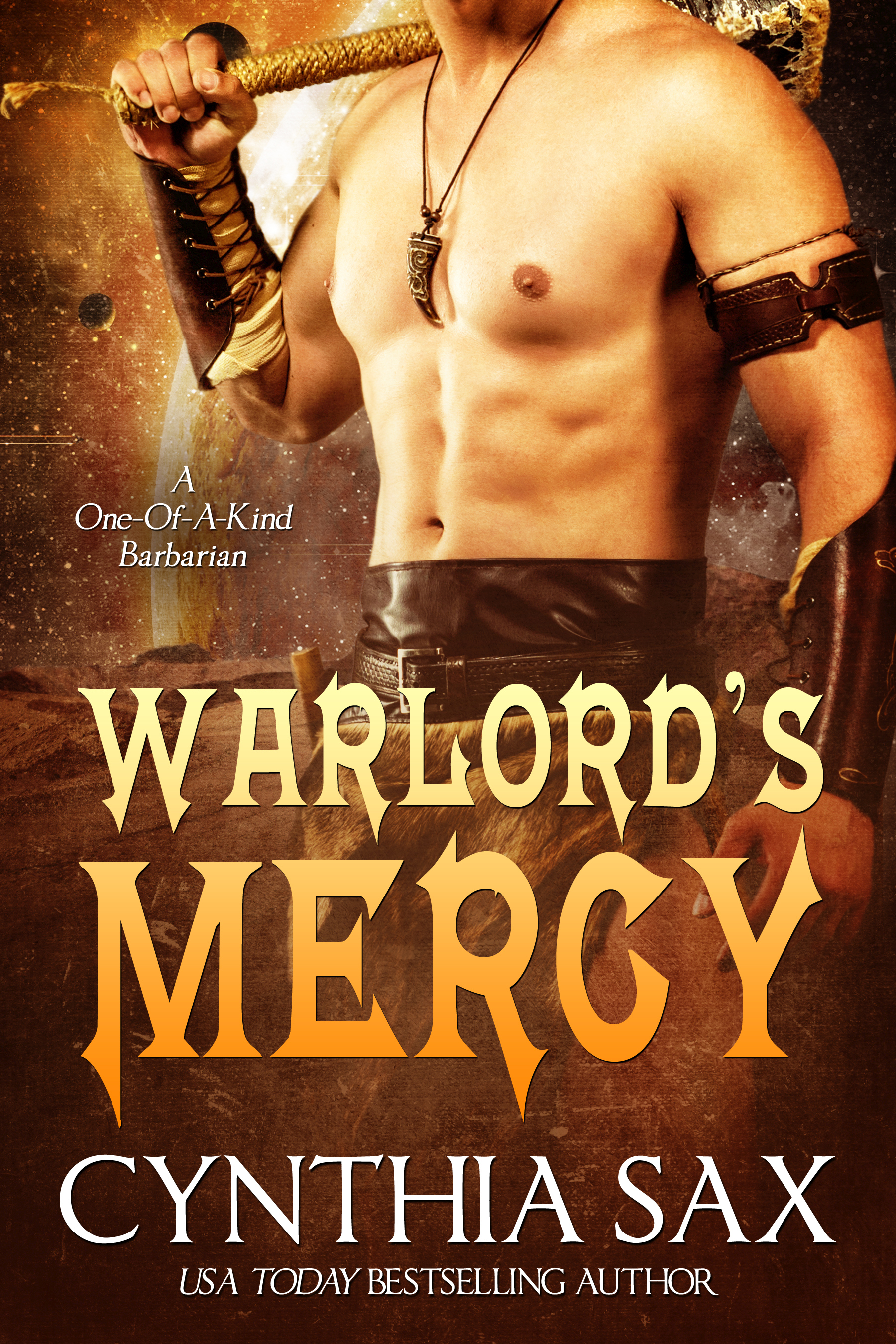 Warlord's Mercy book cover
