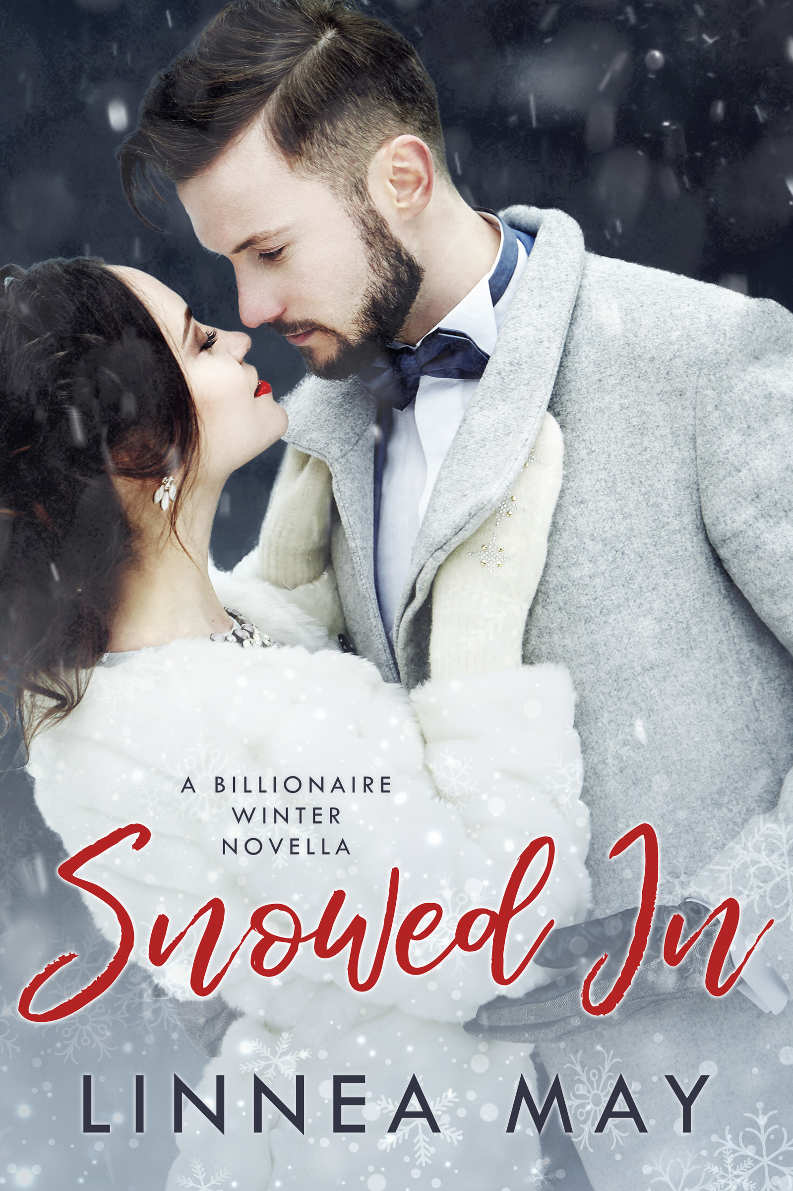 Snowed In book cover