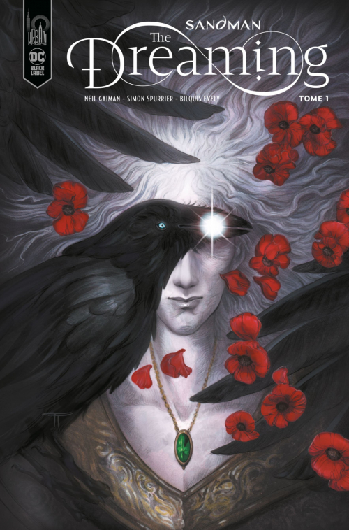 Sandman book cover