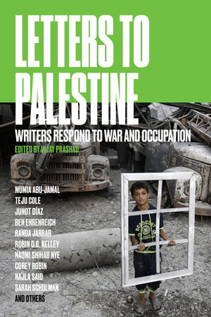 Letters to Palestine book cover