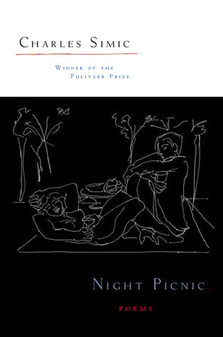 Night Picnic book cover
