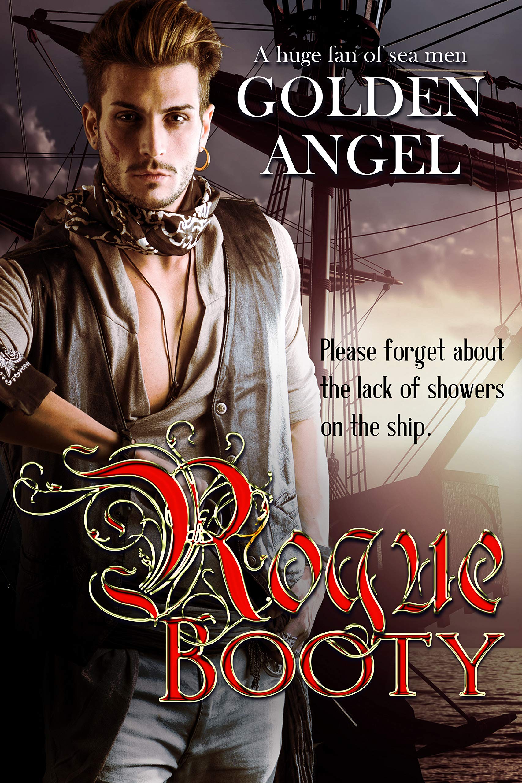 Rogue Booty book cover