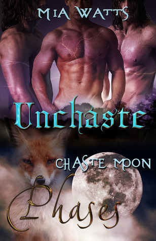 Phases book cover 3