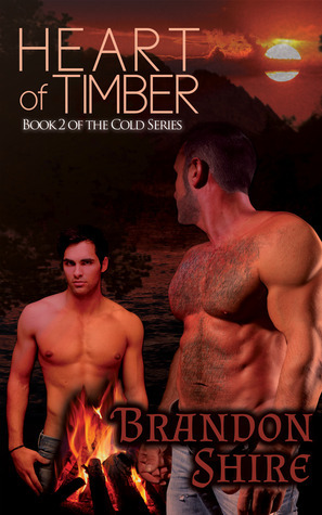 Cold book cover 2