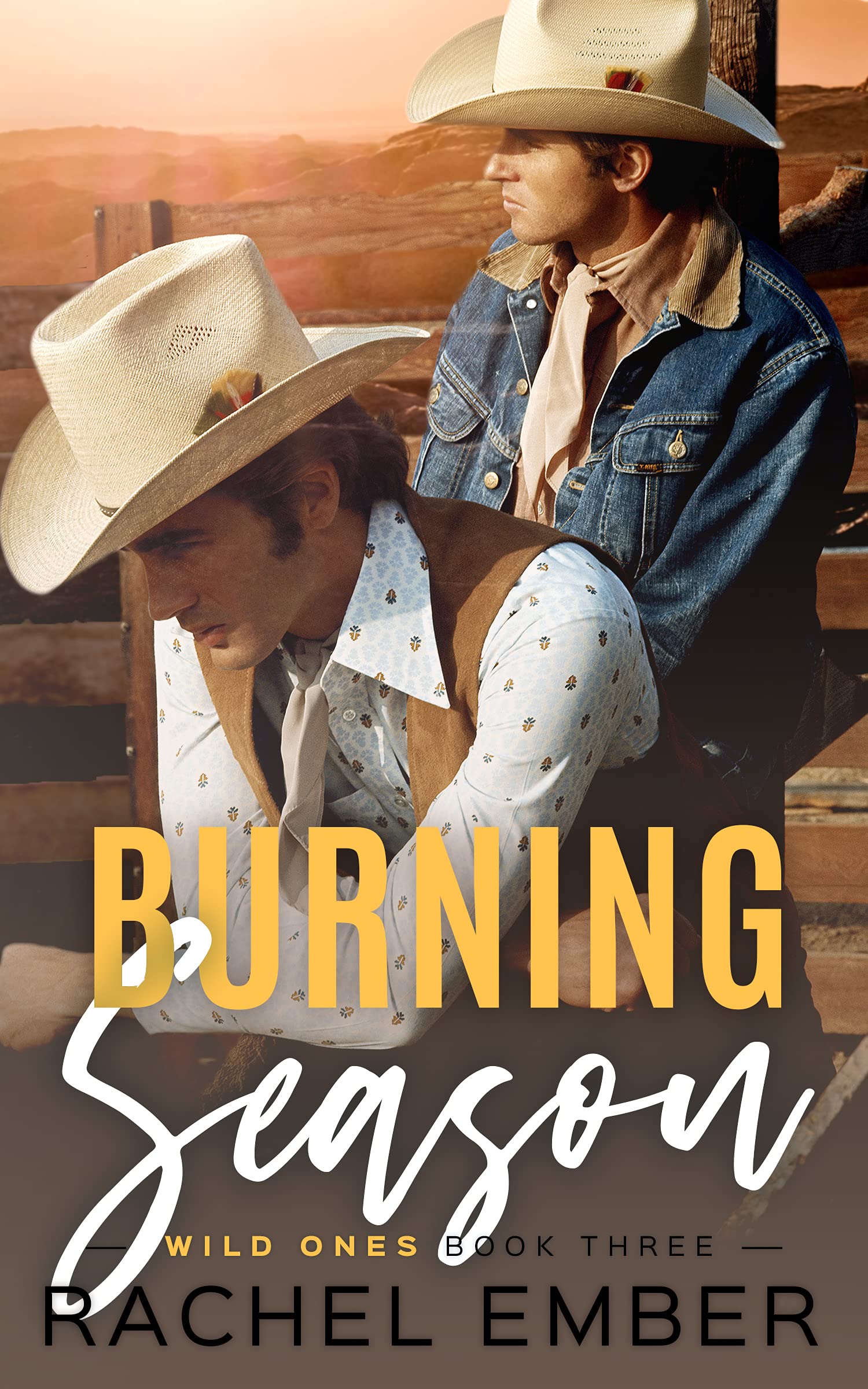 Wild Ones book cover 3