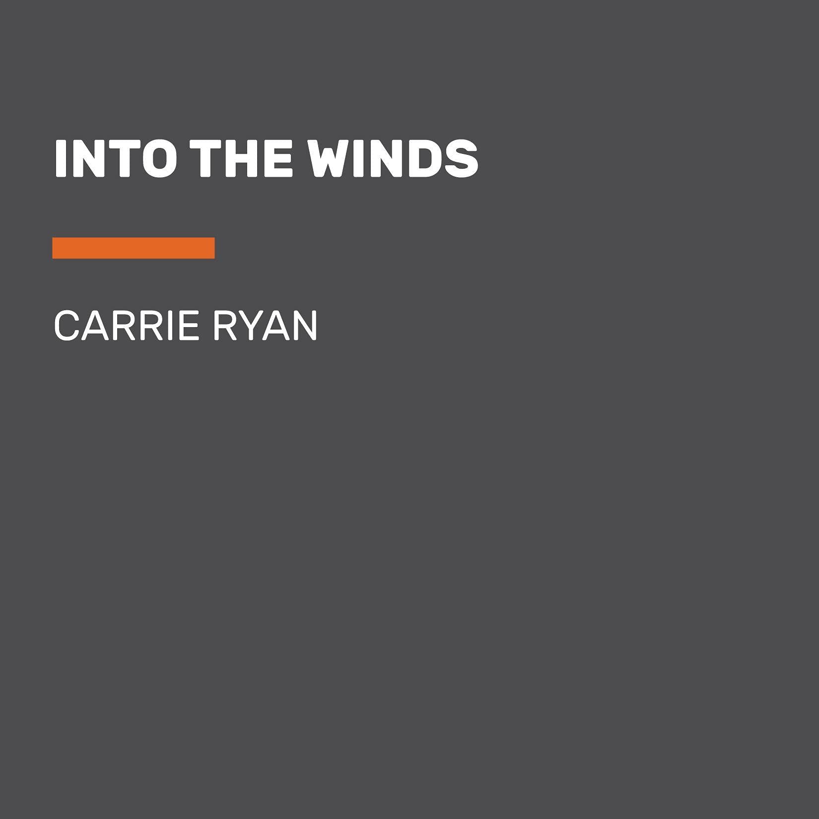 Into the Winds book cover