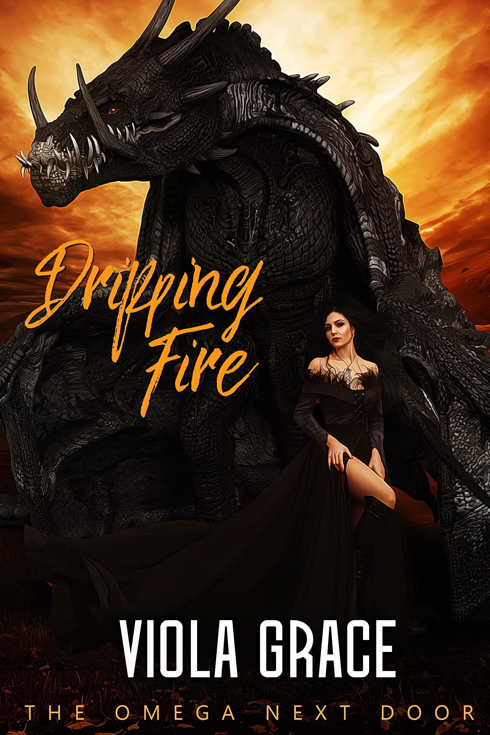 Dripping Fire book cover