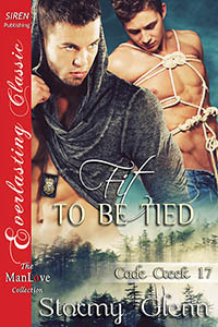 Fit to Be Tied book cover