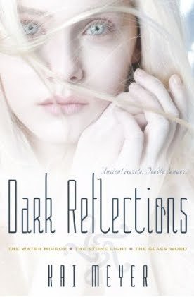 Dark Reflections book cover