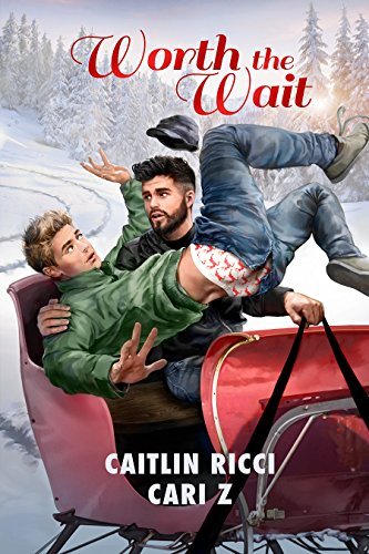 Worth the Wait book cover